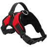 Safety Dog Harness