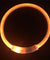 Rechargeable LED Flashing Dog Collar