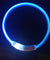 Rechargeable LED Flashing Dog Collar