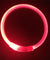 Rechargeable LED Flashing Dog Collar