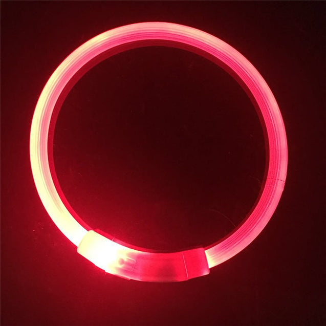 Rechargeable LED Flashing Dog Collar