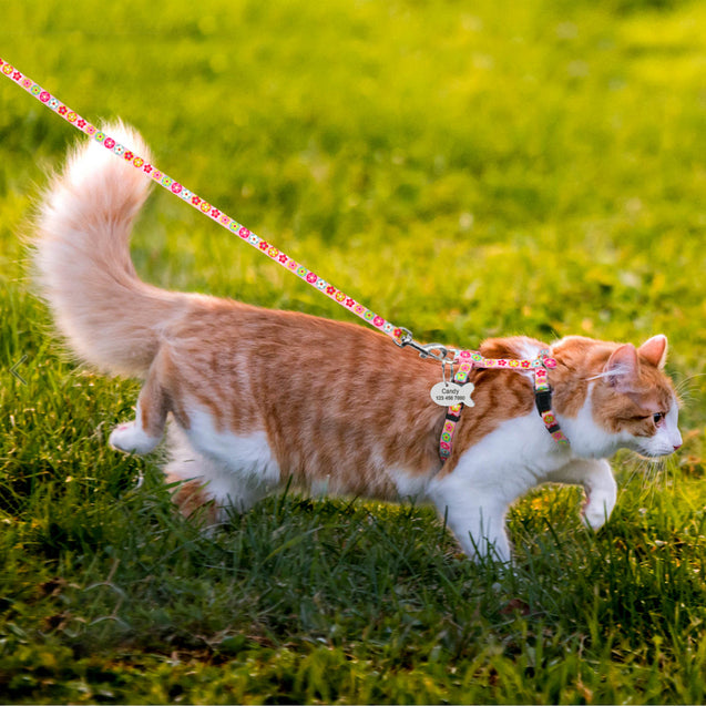 Customized Printed Cat Harness