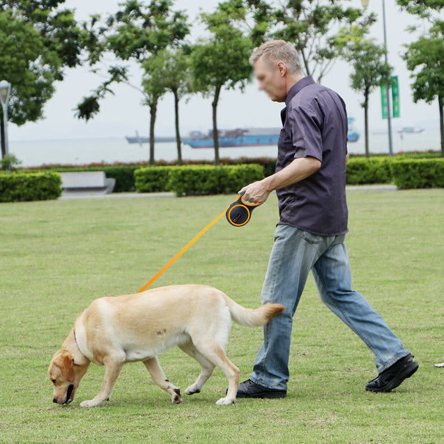 Automatic Retractable Dog Leash