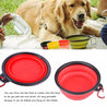 2 in 1 Folding Food & Water Feeder