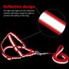 Reflective Dog Leash Harness