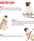 Reflective Dog Leash Harness