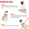 Reflective Dog Leash Harness