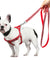 Reflective Dog Leash Harness