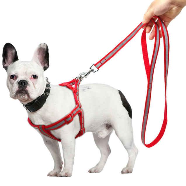 Reflective Dog Leash Harness