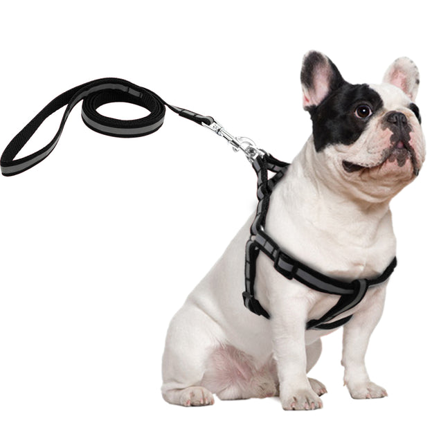 Reflective Dog Leash Harness