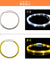 Rechargeable Flashing Dog Collar