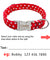 Personalized Dog Collar