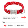 Personalized Dog Collar