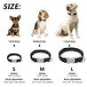 Personalized Dog Collar