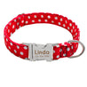 Personalized Dog Collar