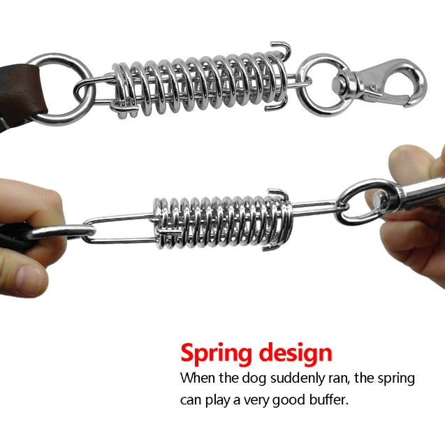 Leather Dog Leash with Spring