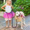 Leather Dog Leash with Spring