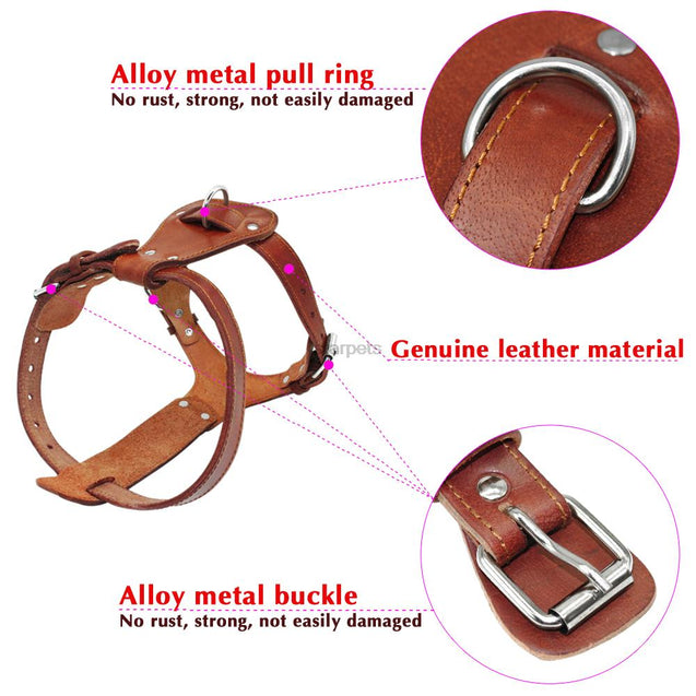 Genuine Leather Adjustable Dog Harness