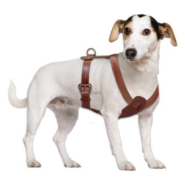 Genuine Leather Adjustable Dog Harness