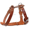 Genuine Leather Adjustable Dog Harness