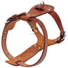 Genuine Leather Adjustable Dog Harness