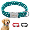 Personalized Dog Collar