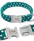 Personalized Dog Collar