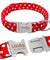 Personalized Dog Collar