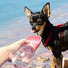 Cute Portable Travel Pet Water Bottle