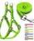 Reflective Dog Leash Harness
