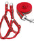 Reflective Dog Leash Harness
