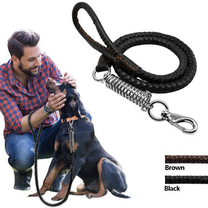 Leather Dog Leash with Spring