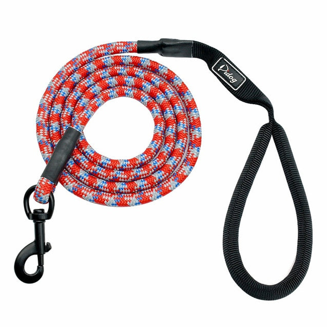 Chew Resistant Night Reflective Dog Leash