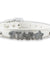 Personalized Rhinestone Dog Collar