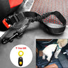 Adjustable Bungee Pet Safety Seat Belt