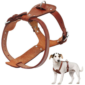 Genuine Leather Adjustable Dog Harness