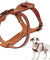 Genuine Leather Adjustable Dog Harness