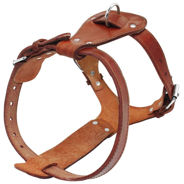 Genuine Leather Adjustable Dog Harness