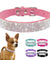 Adjustable Rhinestone Suede Soft Leather Pet Collar