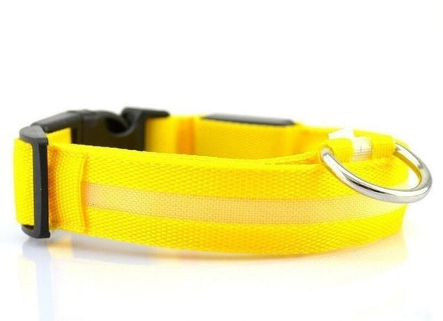 Nylon LED Anti-lost Flashing & Glowing Dog Collar