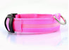 Nylon LED Anti-lost Flashing & Glowing Dog Collar