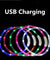 Rechargeable Flashing Dog Collar