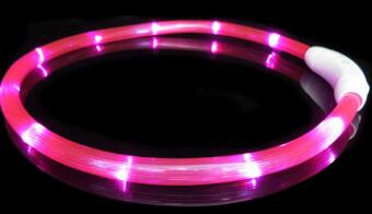 Rechargeable Flashing Dog Collar