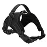 Safety Dog Harness