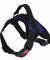 Safety Dog Harness