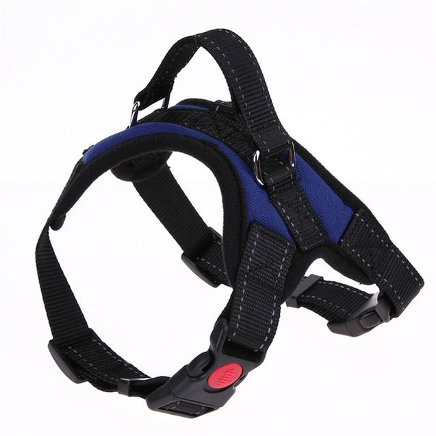 Safety Dog Harness