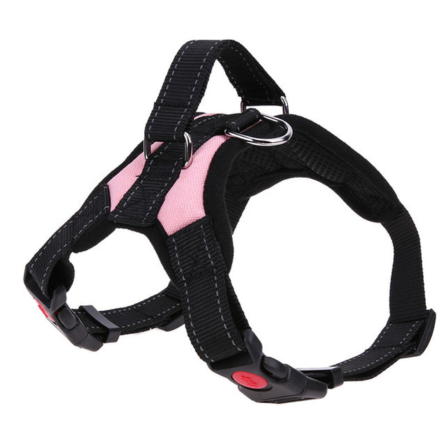 Safety Dog Harness