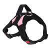 Safety Dog Harness