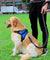 Safety Dog Harness