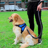 Safety Dog Harness